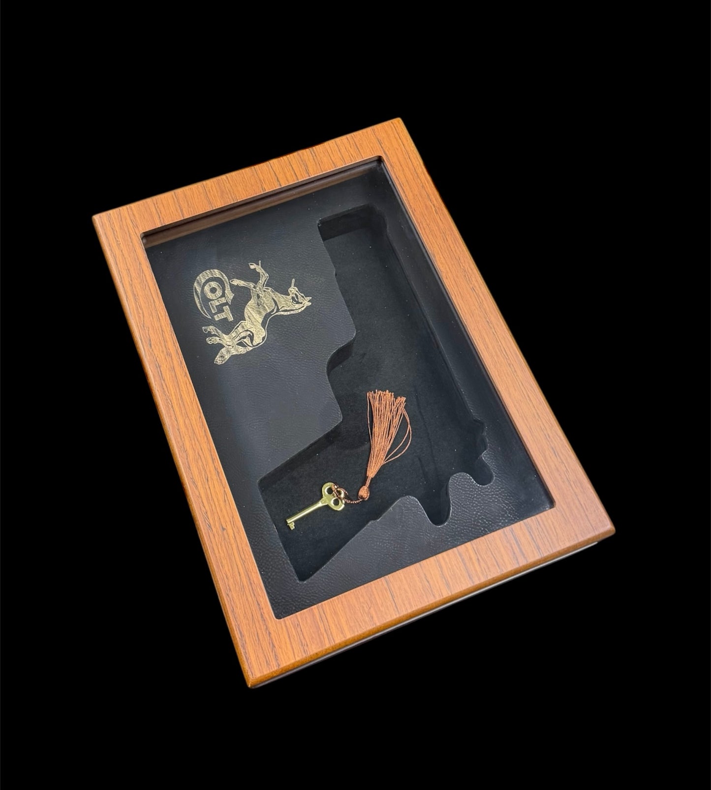 1911 Colt Display Case