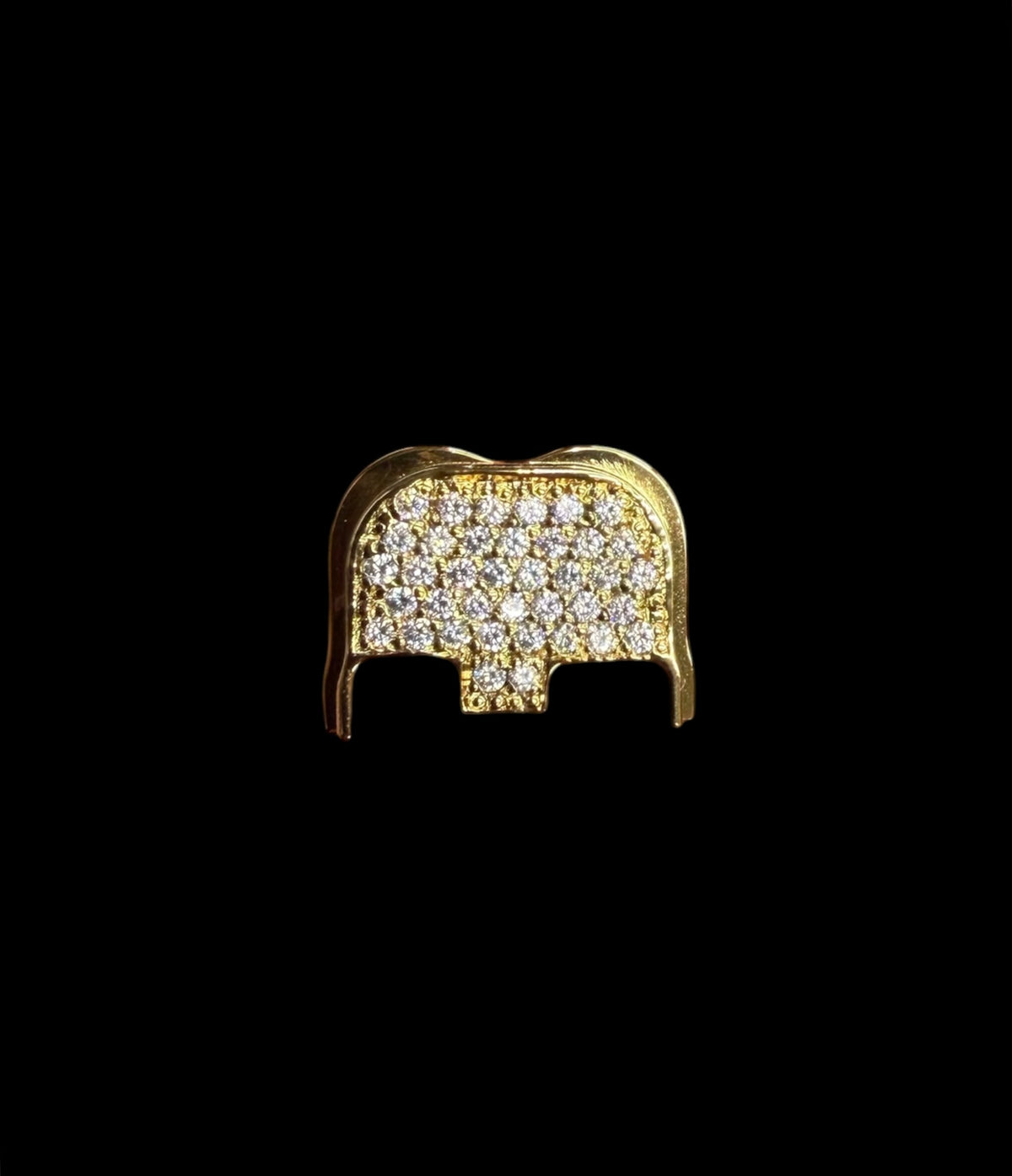 Glock Gen 6 and V Back Plate Iced Out